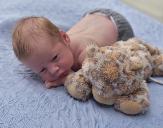 Your grandson Luca arrived 3rd September, he is a beautiful boy pictured here with your teddy