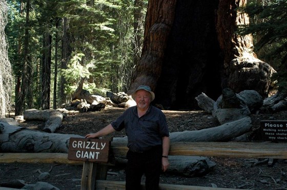 Next to a Giant Sequoia tree in Yosemite National Park in 2008