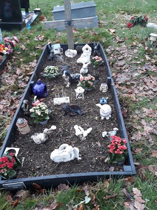 Gavin I  went to the grave today it and place new flowers xx