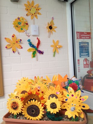 sunflowers in Woodlands Infants School