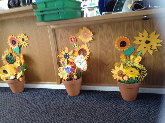 Sunflowers in Woodlands Junior School reception