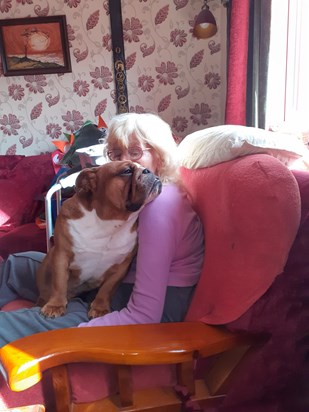 This is one of my many wonderful memories of Mum & my Bulldogs, this is my current rescue, Charlee Girl 20201005 142630