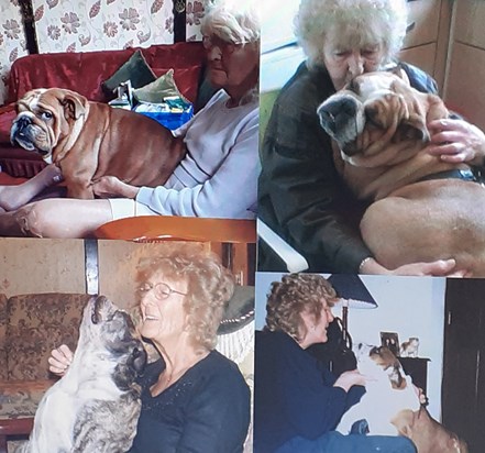 This shows the love mum had for all 4 of my rescue Bulldogs, top left is Charlee Girl, then top right Charlee Bella, bottom left Bella, then lastly is my first rescue my only boy Bowzer.  Mum called them her Grandchildren 20210329 125524