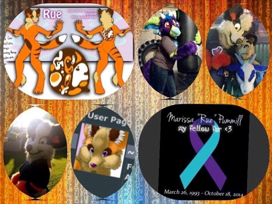 Tribute Collage for Rue <3 10/9/14 by Vinyll Nicole