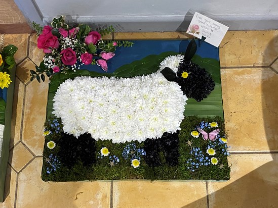 flower sheep from the service from me daisy and jensen