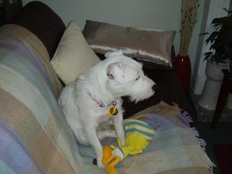 this is campbell, sat on peters sofa nov 2008