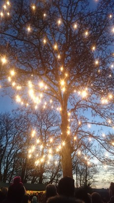 Tree of lights for you nanna.  Beautiful just like you. Xx
