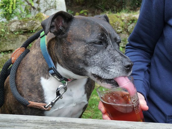 Sharing his Thwaites - he must have loved those dogs!