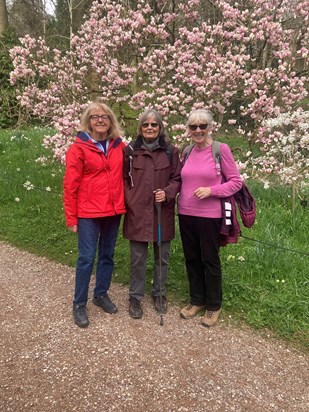 Enjoying spring at Killerton