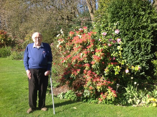 In his beloved garden