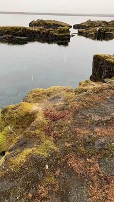 Thingvellir Lake where we scattered some of Eleanor's ashes