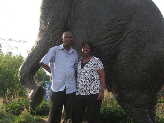 Mum and Dad at the St. Louis Zoo