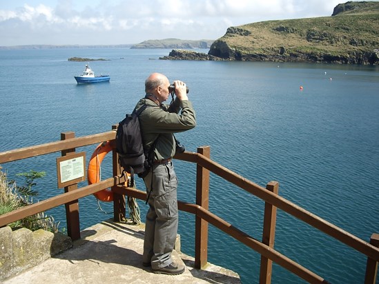 2008 July Skomer7