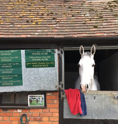 Treasure the happy memories of that day with your Dad watching grey Politologue win.  RIP Thomas.