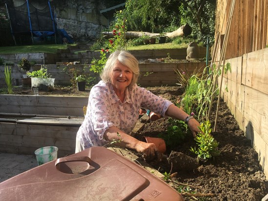 Green Fingers hard at work in the Foster garden.