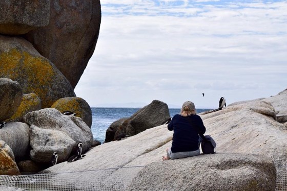 Gill loved Boulders Beach near Cape Town and the hundreds of penguins that lived there 