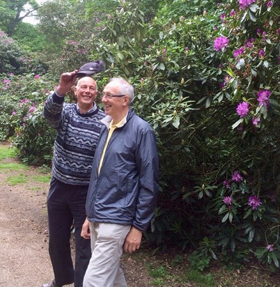 Dave at Sheringham Rhododendrons 2016 