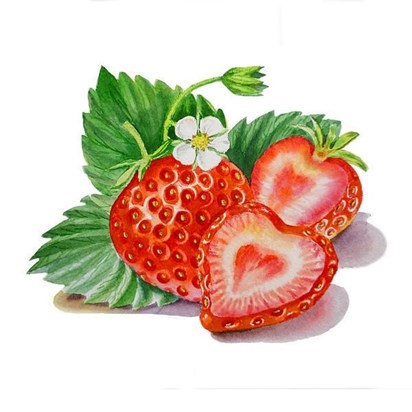 Stawberries #1