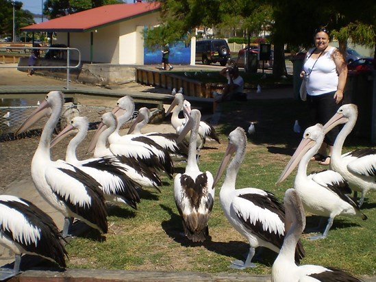 Carole getting up close(ish) and dangerous with the famous Woy Woy pelicans