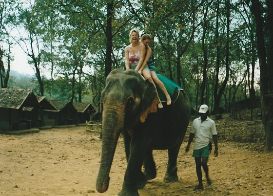Goa elephant ride