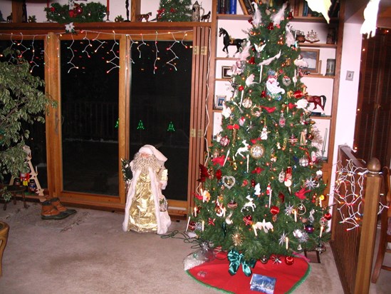 Christmas 2009 at Mom's house