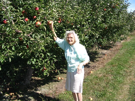 Mom Apple picking at Erie Orchards 2008