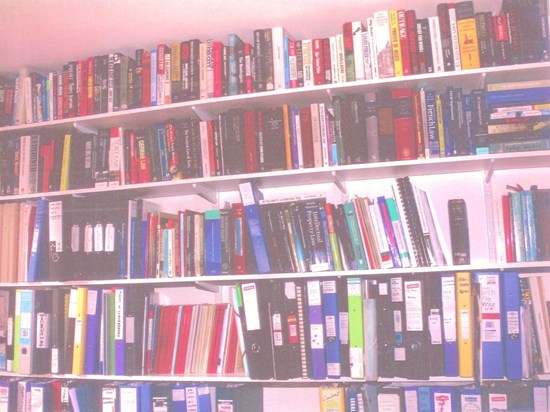 bookshelves 