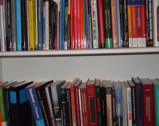 my bookshelves1