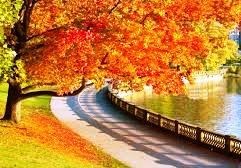 Canadian autumn 1