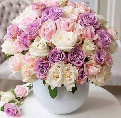 roses in white vase