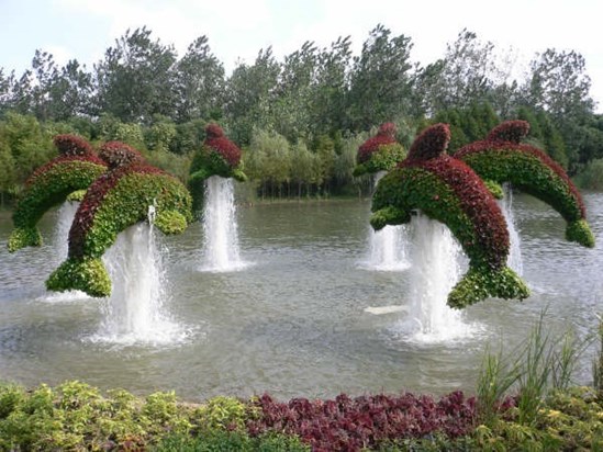 The Beijing Olympics gardens were a beautiful very clever display of horticulture, love and skiil-sets of the people who created these very beautiful gardens.