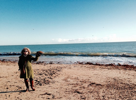 Southsea Beach on a cold day in February, 2016