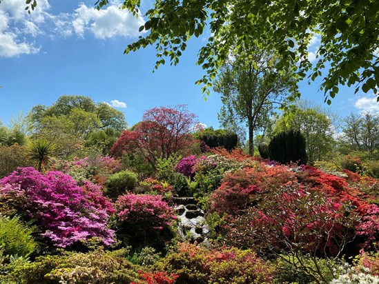 Thinking of you today Nanny as we walked round Bodnant Gardens xxx Emma, Louis & Avary xxx