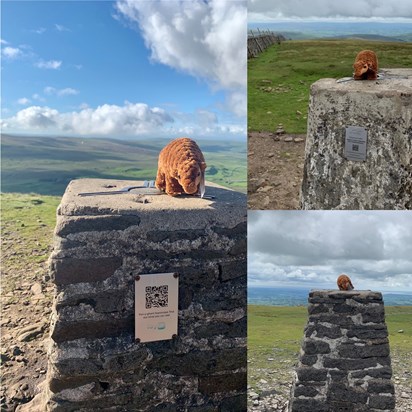  Caitlin’s Pangolin Mascot at the top of each Yorkshire Peak! ??for Caitlin 