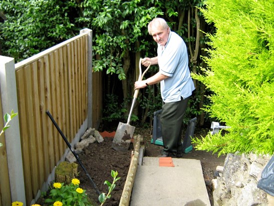 Digging for victory 2008