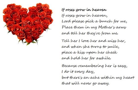 Mum, you will be in my heart and thoughts forever, Love you always Nigel xxxxxxxxxxx