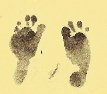 Anna's  little feet (they look just like Evan's and Jack's).