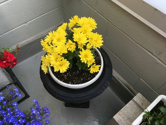 Pretty Yellow Flowers for a Very Good Friend July 28 2020