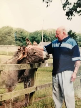 Dad and the donkeys