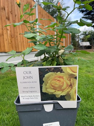 Our John Rose, thank you to my colleagues at Tesco for Johns rose plant 