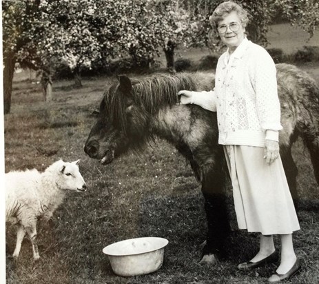 Blodwen and pet lamb