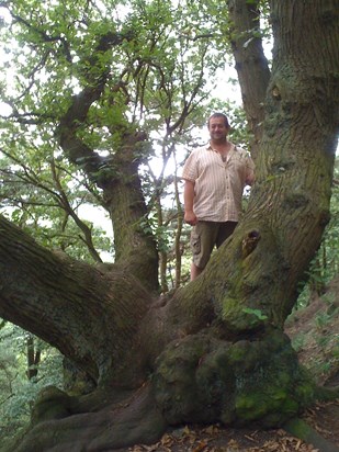 Lord of the Ents, Bulkley Hill