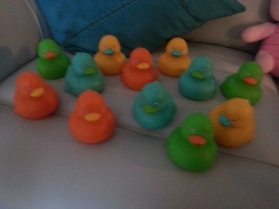 More Ducks