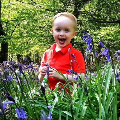 In the bluebells with u x