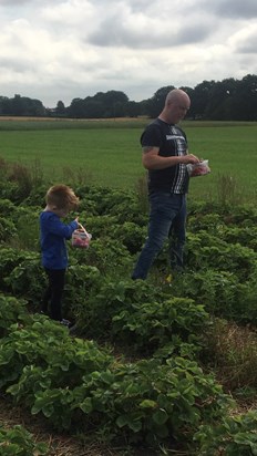 Strawberry Picking