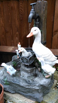 Yvonne's duck fountain