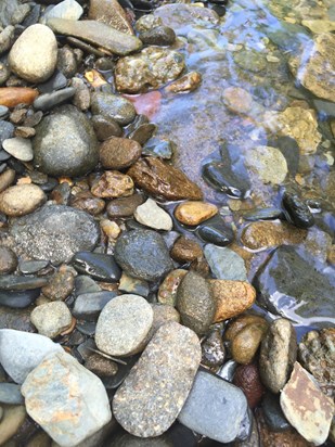 stones in a brook