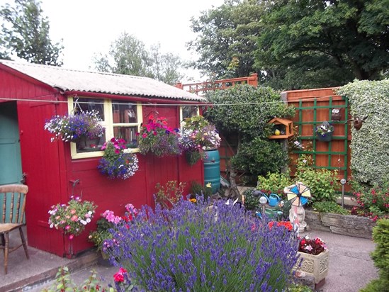 Dads Shed & Garden