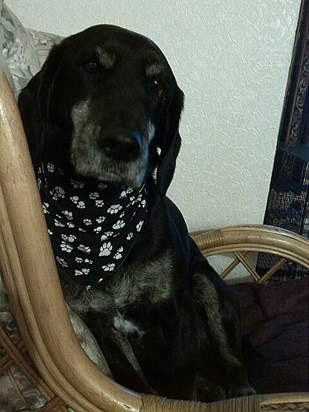 Sable Sizzle wearing the special bandana 