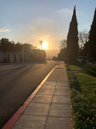 Lovely California sunset